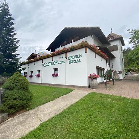 Albero Verde Verano Екстериор снимка