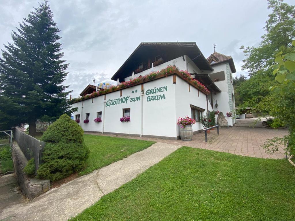 Albero Verde Verano Екстериор снимка