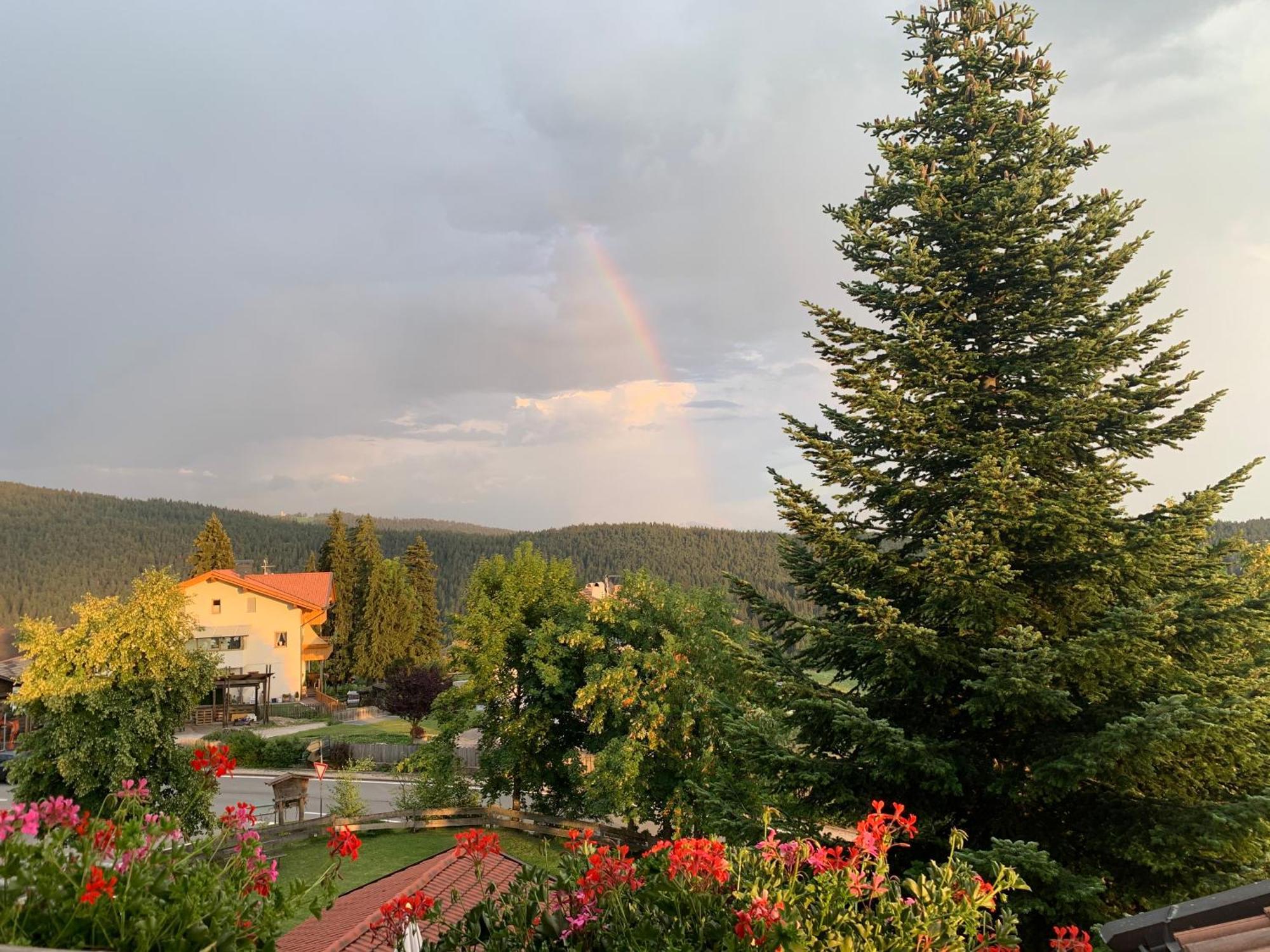 Albero Verde Verano Екстериор снимка