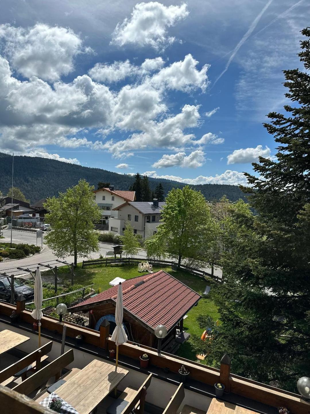 Albero Verde Verano Екстериор снимка
